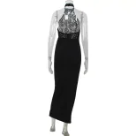Elegant Sleeveless Lace Trimmed Bodycon Dress Hollow Out Design Red Carpet Style Perfect for Eve