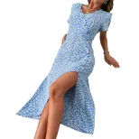 Blue Floral Print Summer Dress for Women Slim Fit Fresh Country Style Perfect for Casual Outings