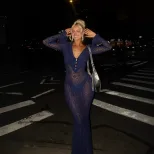 Blue Leopard Print Sheer Mesh Dress Deep V Neck Fashionable Design Sexy Silhouette Perfect for P