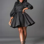 Fashionable Womens Dress Puff Sleeve Waist Defined Elegant Style Perfect for Parties and Events
