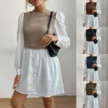 Color Block Long Sleeve Dress Round Neck Stylish Design Autumn Fashion Wholesale Available ready