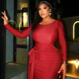 Bodycon Dress Slim Fit Waist Tie Round Neck Long Sleeve Solid Color Cocktail Party or Evening We