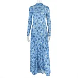 Elegant A Line Maxi Dress for Women Waist Defining Sheer Floral Print High Neck Slim Fit Perfect