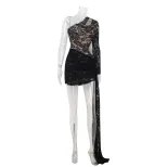 Lace Bodycon Dress Asymmetrical Neckline Slim Fit Sexy Style Perfect for Red Carpet Events Whole