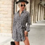Leopard Print Long Sleeve Shirt Dress Stylish Spring and Autumn Design Perfect for Casual or For