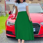Plus Size Womens Long Pleated Skirt Solid Color High Waist Flared Design Autumn Fashion for Casu