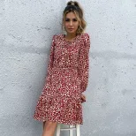 Burgundy Floral Print Long Sleeve Dress for Women Round Neck A Line Silhouette Casual Wear