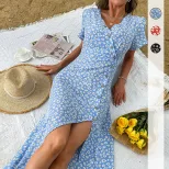 Blue Floral Print Summer Dress for Women Slim Fit Fresh Country Style Perfect for Casual Outings