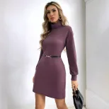 Fashionable Womens Sweater Dress Slim Fit High Neck Long Sleeve Mid Length Casual Wear for Fall