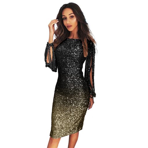 Color Block Sequin Dress Round Neck Fringe Sleeves Elegant Design Perfect for Parties and Gather