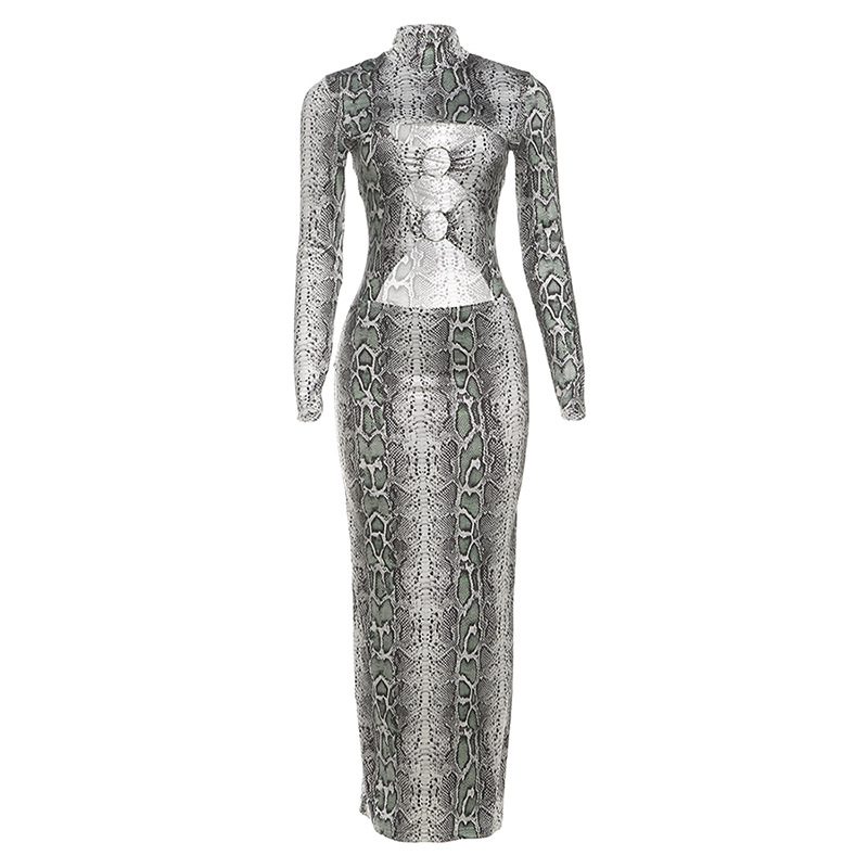 High Neck Long Sleeve Bodycon Dress Fashionable Snake Print Metallic Button Details Autumn Winte