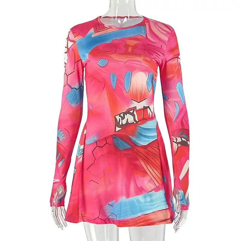 Casual A Line Dress Floral Print Color Block Long Sleeve Round Neck Trendy for Everyday Wear Who