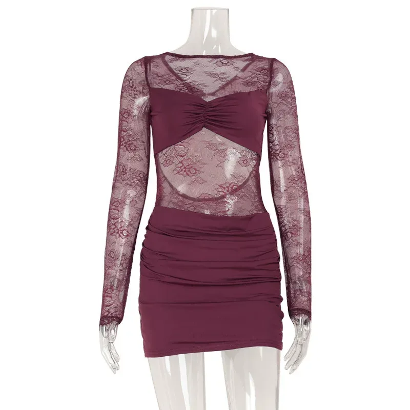 Lace Trimmed Bodycon Mini Dress Sheer Panels Long Sleeve Fashionable Design Nightclub Wear for W