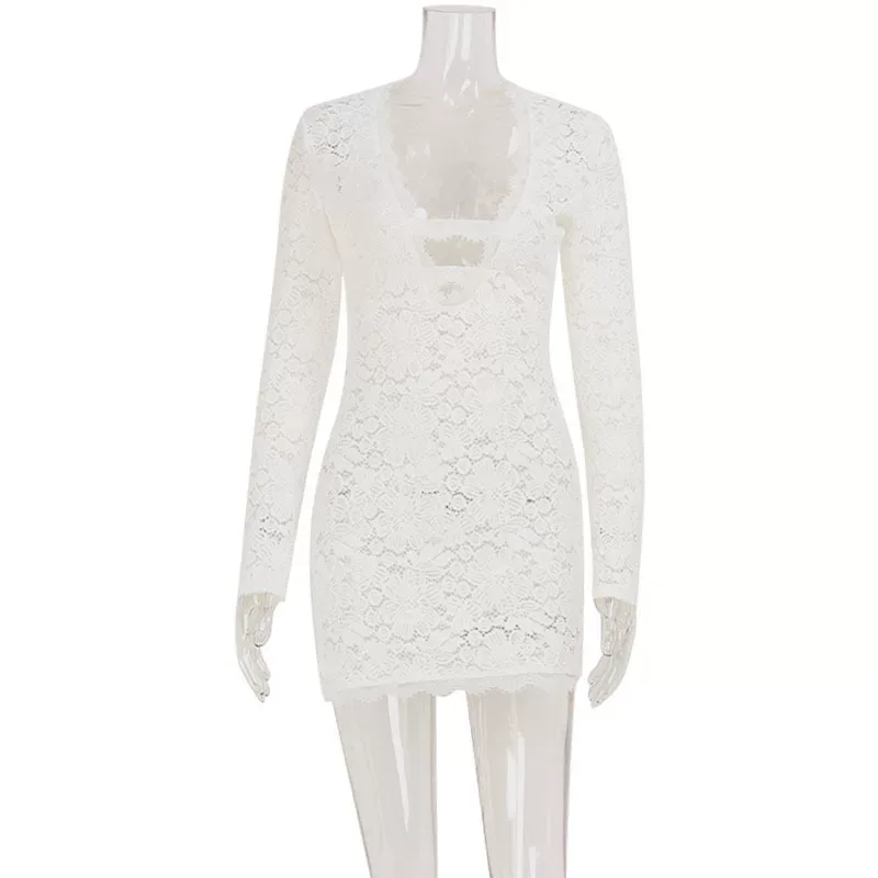 Lace Bodycon Mini Dress Sheer Hollow Out Low Cut Slim Fit Nightclub Party Wear Wholesale Availab