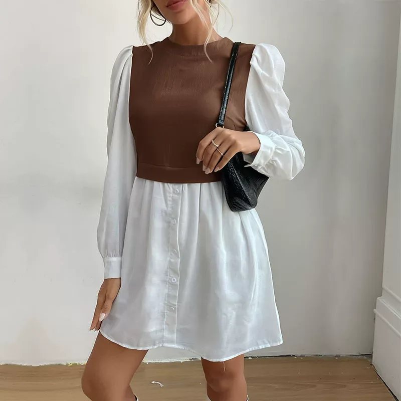 Color Block Long Sleeve Dress Round Neck Stylish Design Autumn Fashion Wholesale Available ready