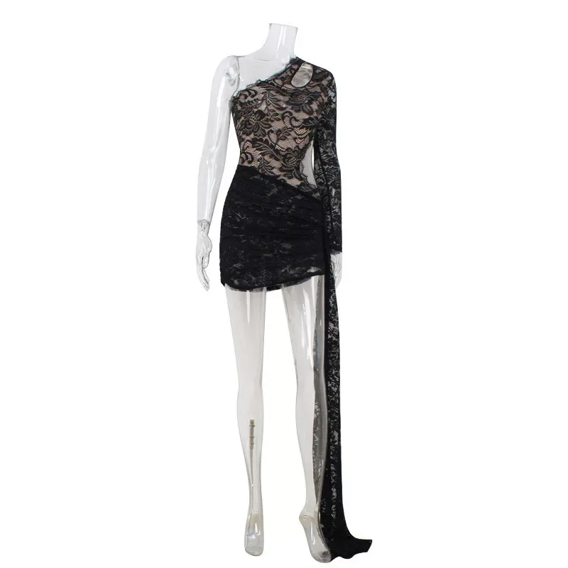 Lace Bodycon Dress Asymmetrical Neckline Slim Fit Sexy Style Perfect for Red Carpet Events Whole