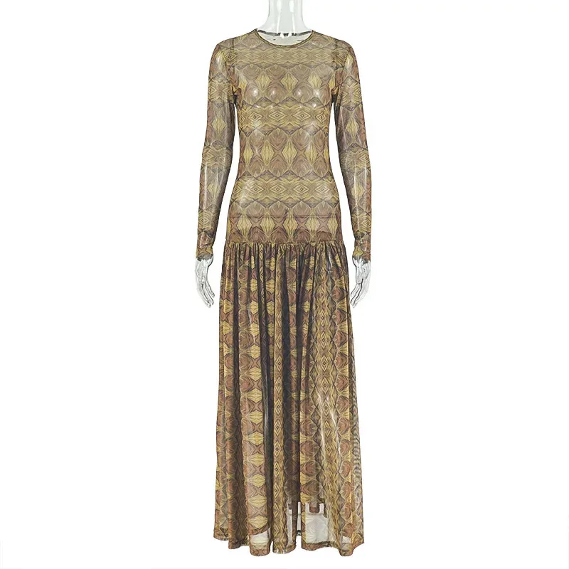 Vintage A Line Dress Breathable Mesh Floral Print Long Sleeve Slim Fit Casual Wear for Spring an